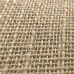 Le Lin Textile 🌿 : Usages, Propriétés & Entretien 👕